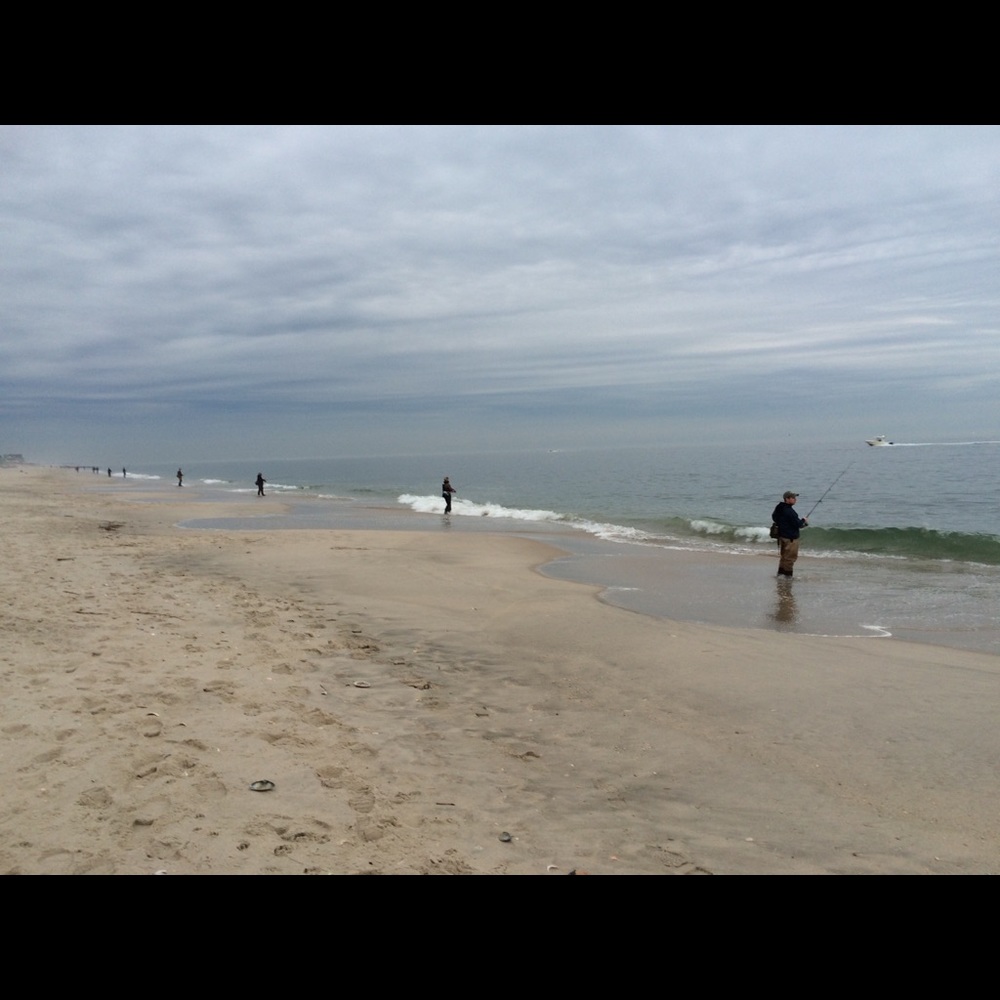 Meet your Posher, Robin